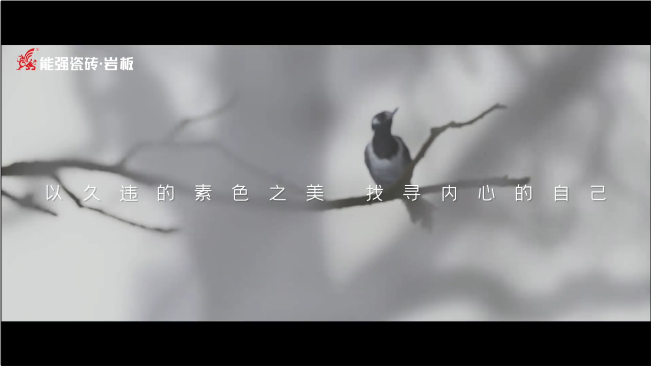 素巖系列 | 以素色之美，找尋內(nèi)心的自己
